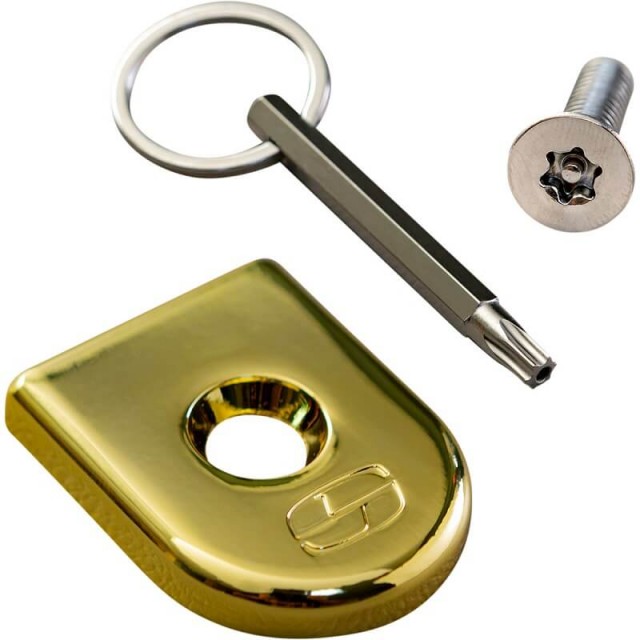VITE SICUREZZA SADDLEMEN ORO PER BLOCCAGGIO SELLE HARLEY DAVIDSON - KIT